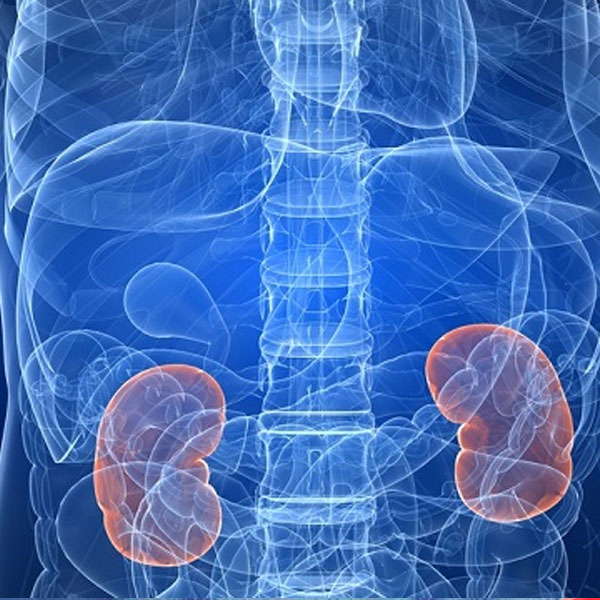 services-ENDOCHRINOLOGY