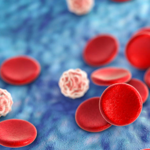 services-HAEMATOLOGY