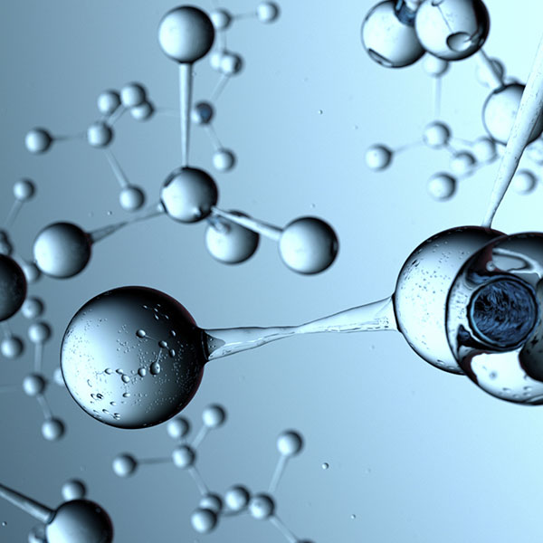 services-MOLECULARBIOLOGY